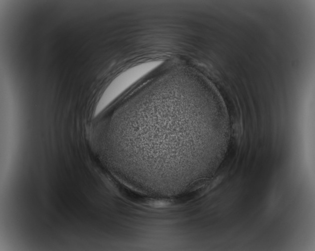 X0000083580662200703021817