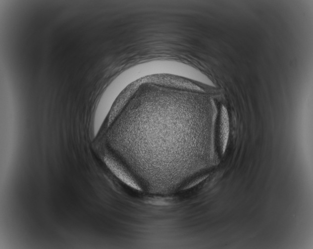 X0000083580664200703021817