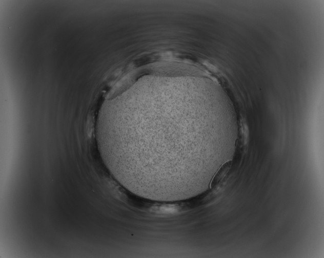 X0000083580665200703021817