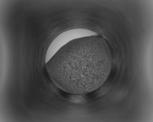 X0000083580671200703021817