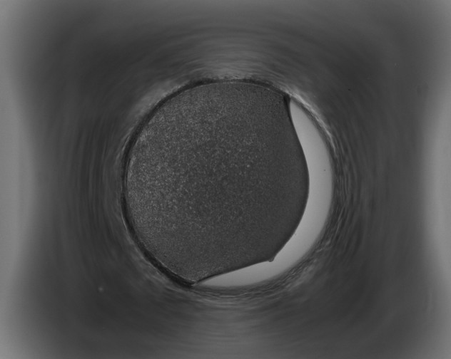 X0000083580673200703021816