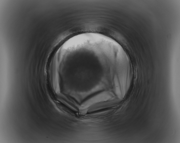 X0000083580674200703021816