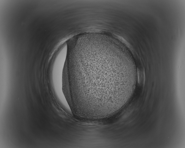 X0000083580675200703021816