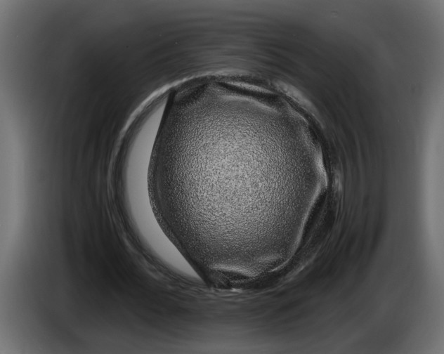 X0000083580676200703021816