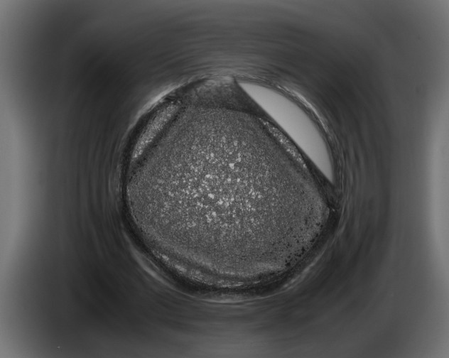 X0000083580677200703021816