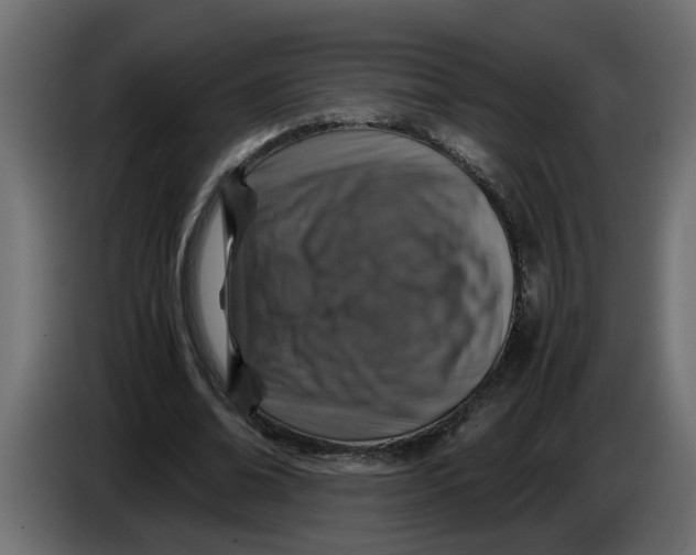 X0000083580678200703021816