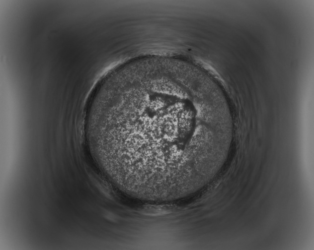 X0000083580679200703021816