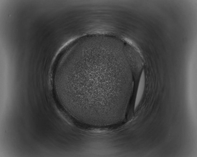 X0000083580680200703021816