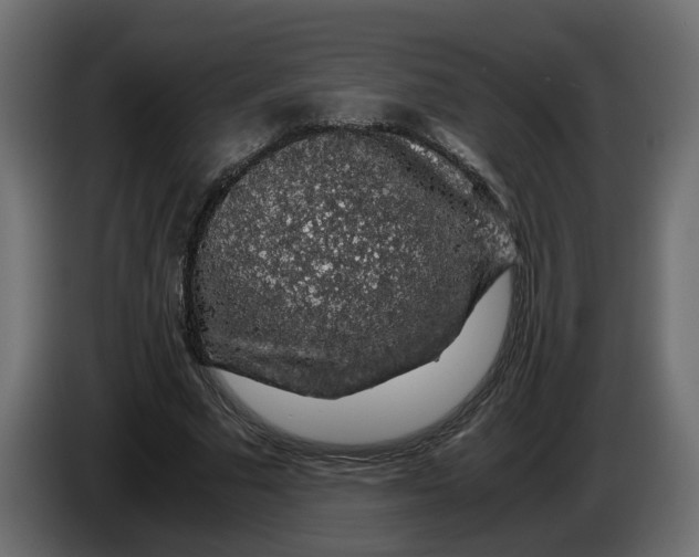 X0000083580681200703021816