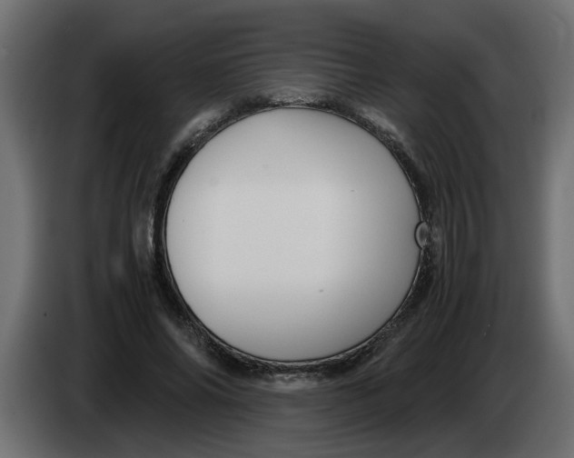 X0000083580686200703021816