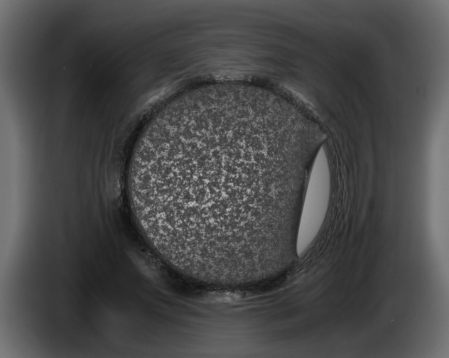 X0000083580687200703021816