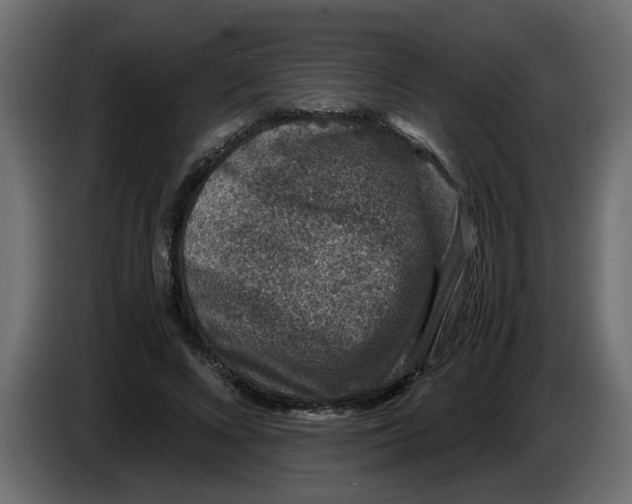 X0000083580688200703021816