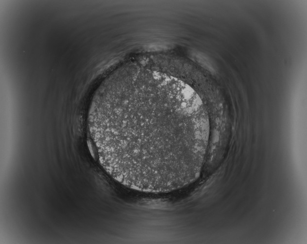 X0000083580689200703021816