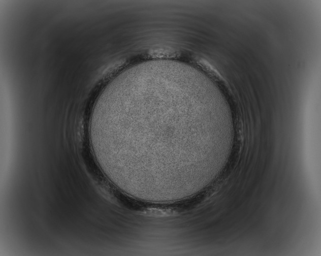 X0000083580690200703021816