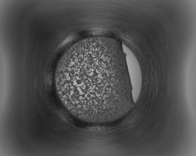 X0000083580691200703021816