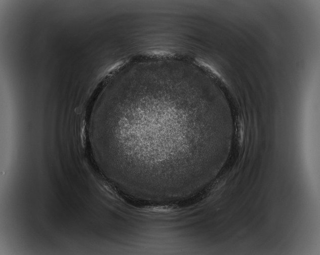 X0000083580692200703021816