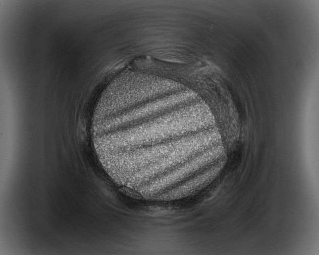 X0000083580693200703021816