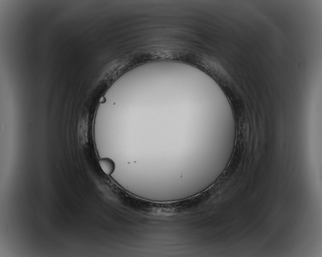 X0000083580694200703021816