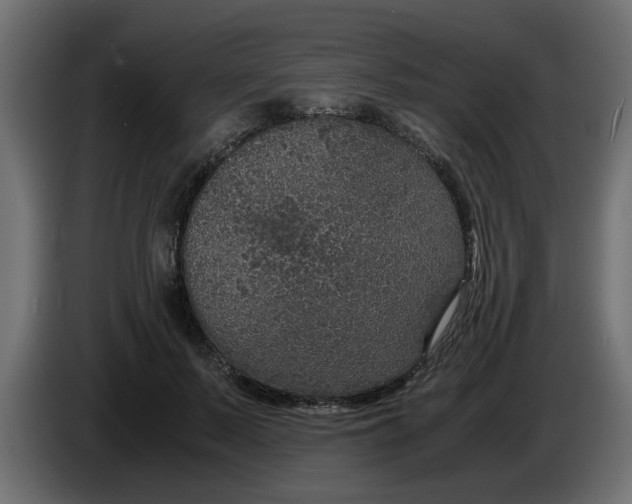 X0000083580695200703021816