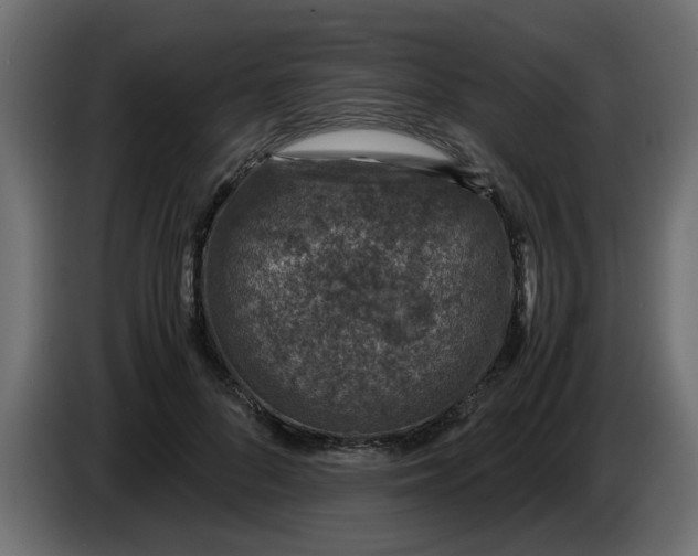 X0000083580696200703021816