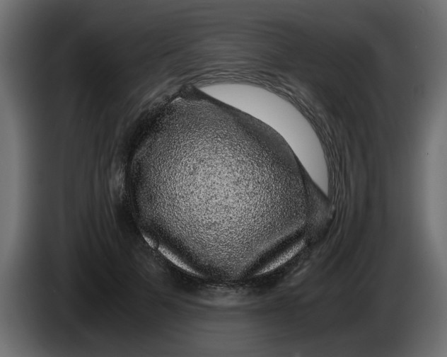 X0000083580697200703021816