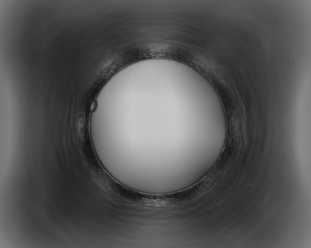 X0000083580698200703021816