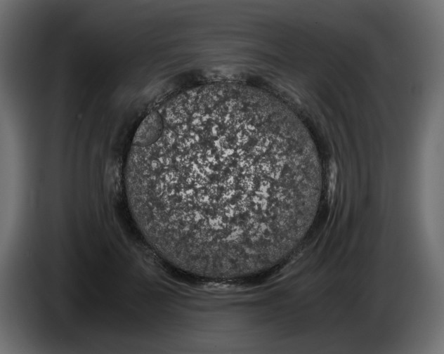 X0000083580699200703021816