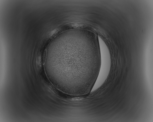 X0000083580700200703021816