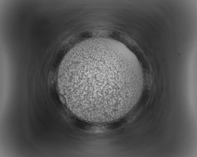 X0000083580701200703021816