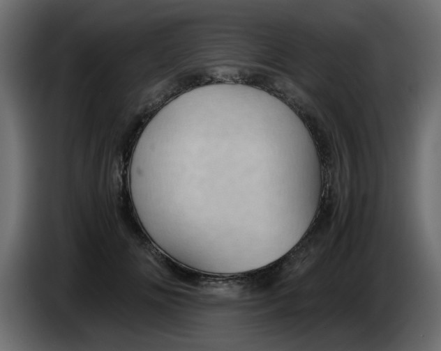 X0000083580702200703021816