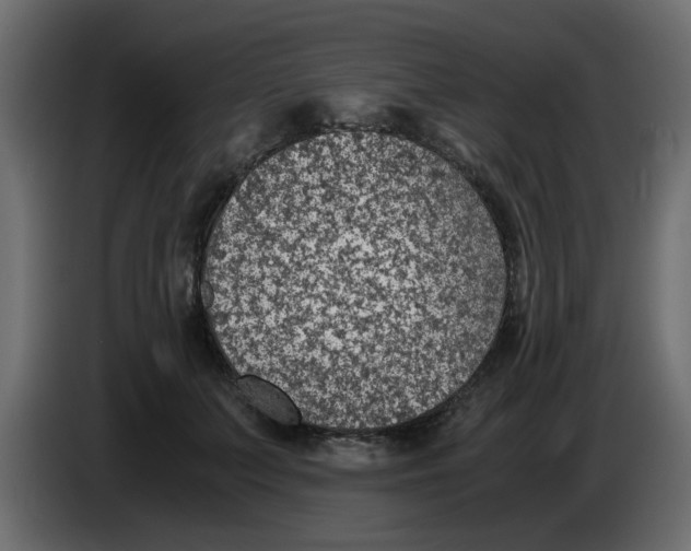 X0000083580703200703021816