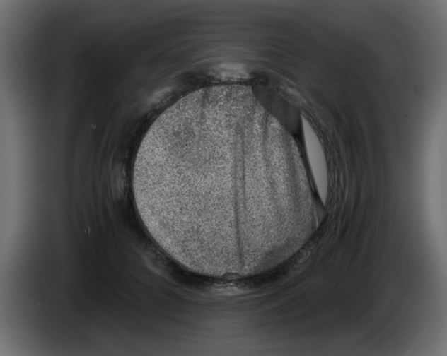 X0000083580704200703021816