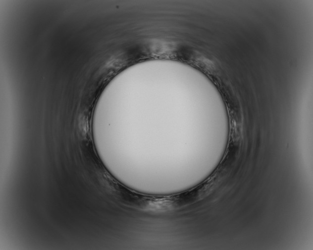 X0000083580705200703021816