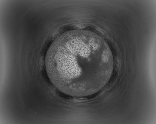 X0000083580707200703021816