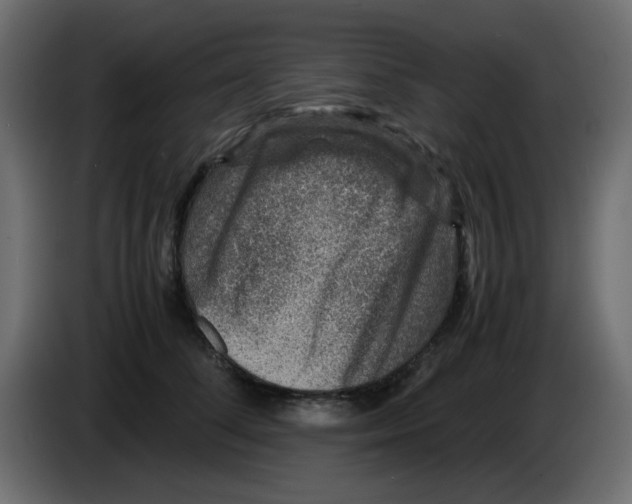 X0000083580708200703021816