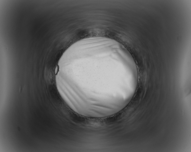 X0000083580709200703021816