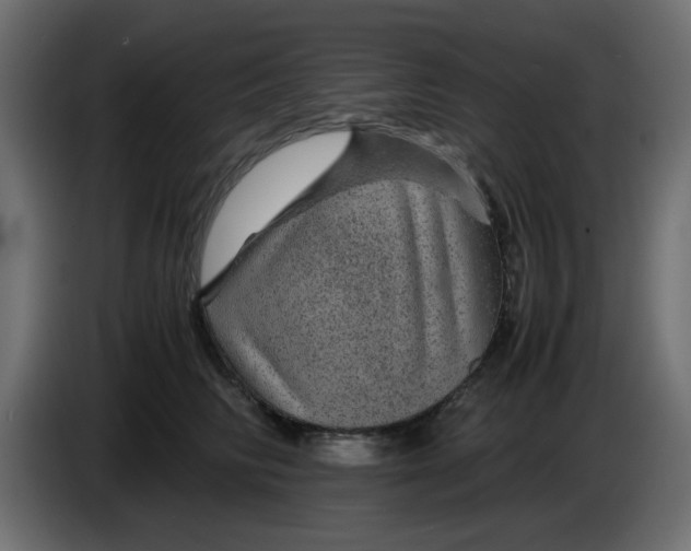 X0000083580710200703021816