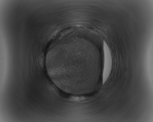 X0000083580712200703021816