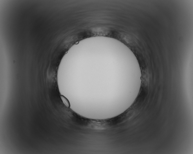 X0000083580713200703021815