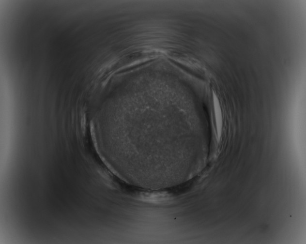 X0000083580716200703021815