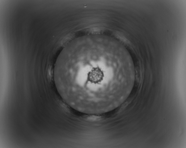 X0000083580718200703021815