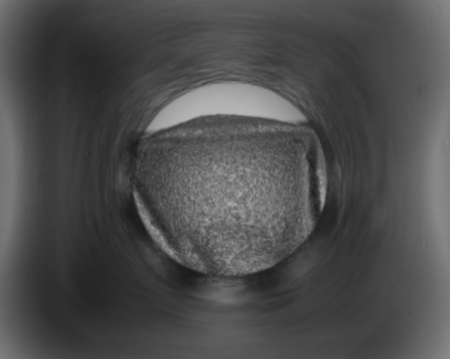 X0000083580719200703021815