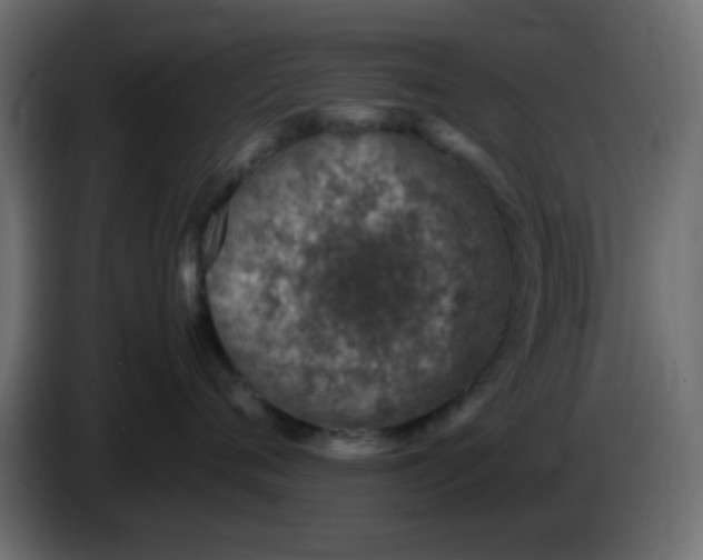 X0000083580720200703021815