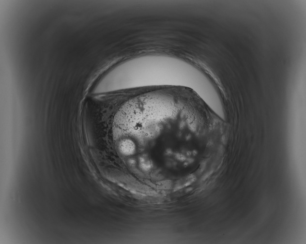 X0000083580721200703021815