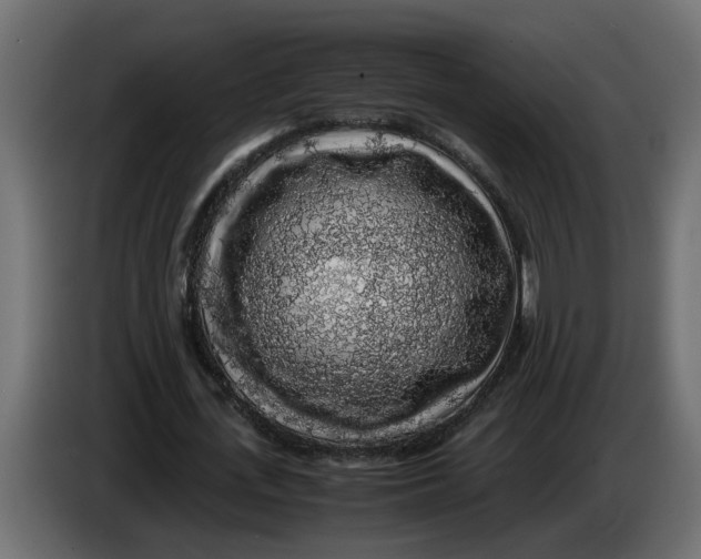 X0000083580723200703021815