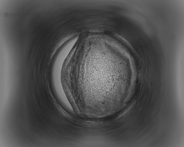 X0000083580725200703021815