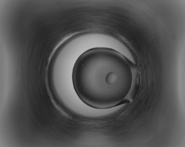 X0000083580726200703021815