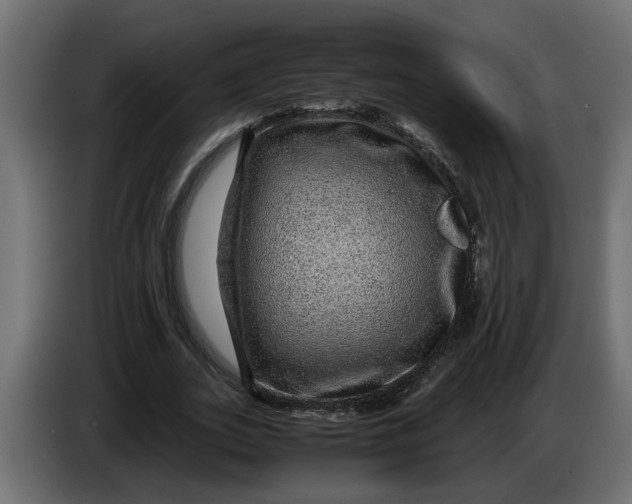 X0000083580727200703021815