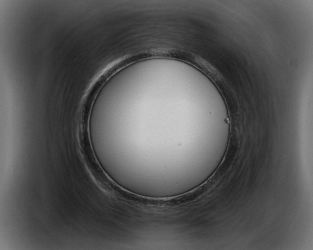 X0000083580728200703021815