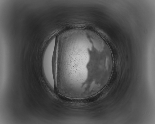 X0000083580729200703021815